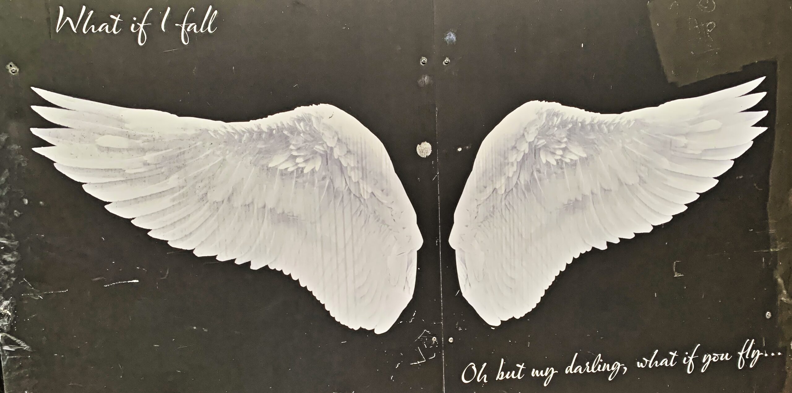 Leading Growth: What if I fall? Oh but darling, what if you fly