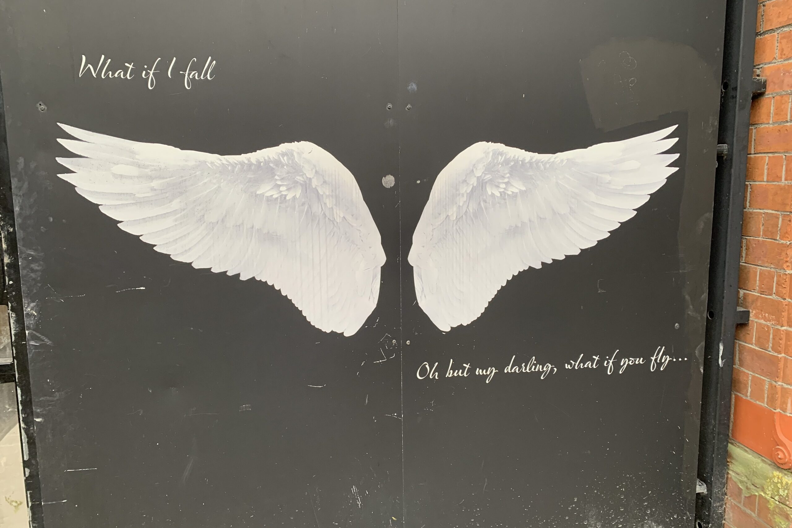 Transformation - Flügel