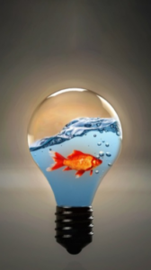 Lessons learnt from live lessons